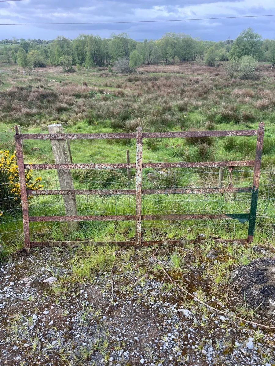 Vintage forged made gate - Image 1