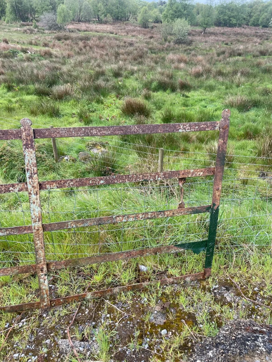 Vintage forged made gate - Image 2