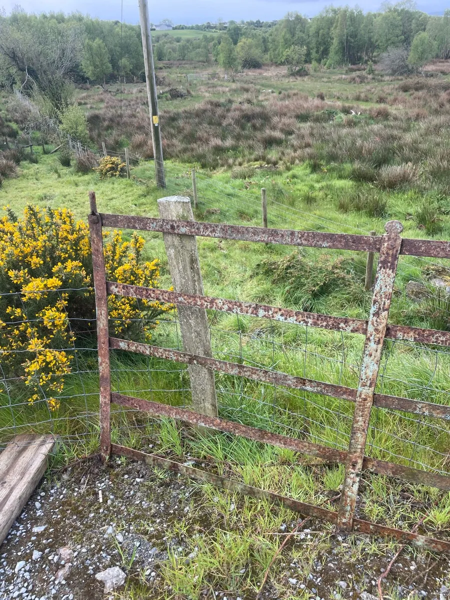 Vintage forged made gate - Image 3