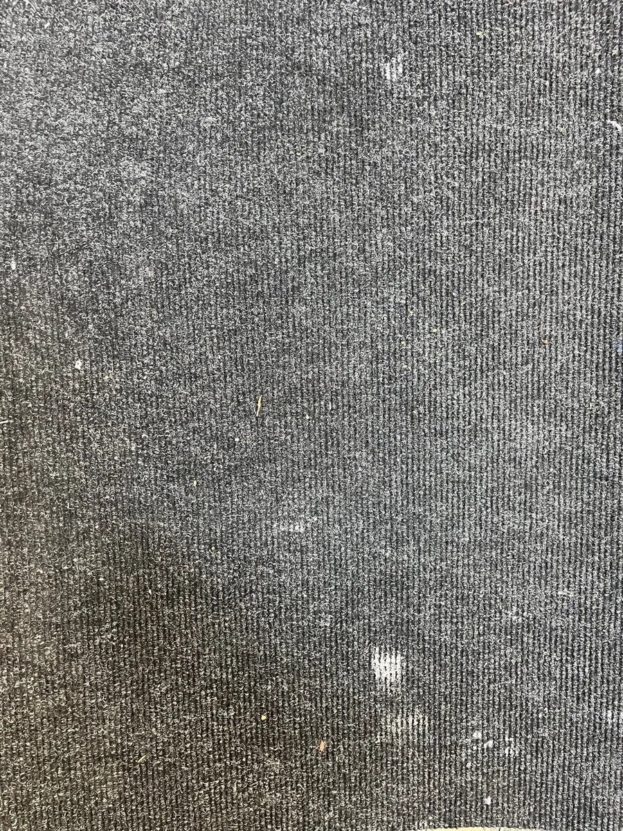 Carpet - Image 2