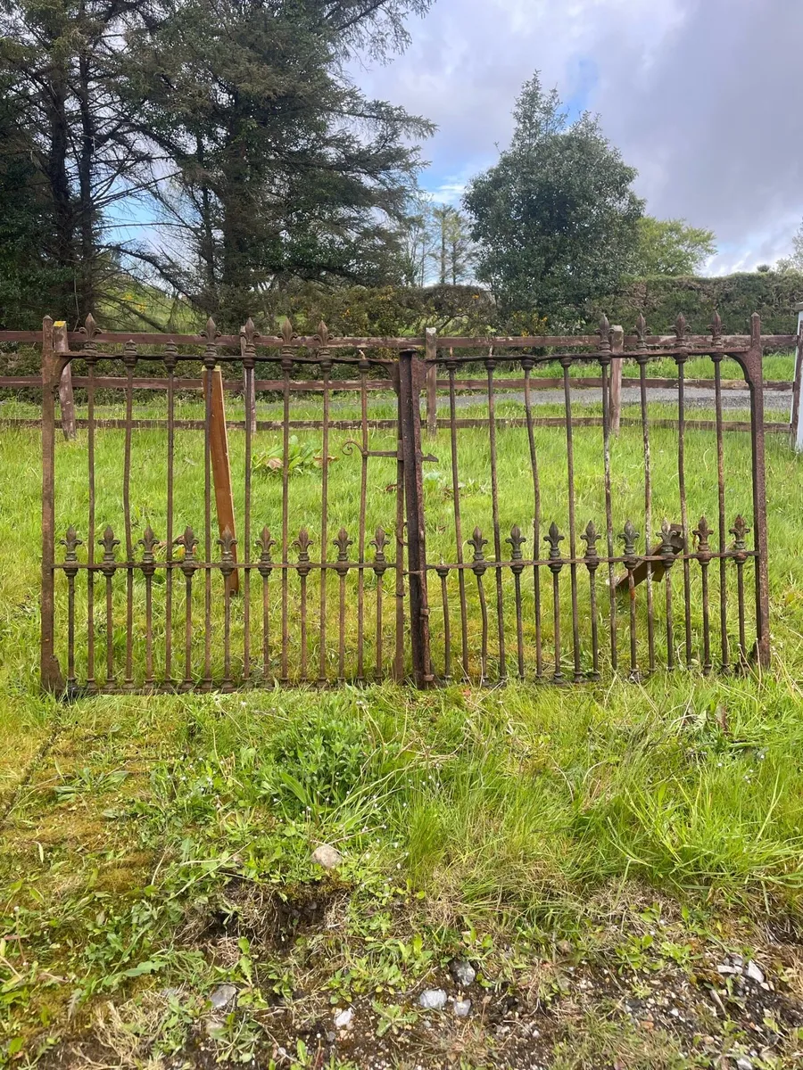 Pair of victorian wrought iron gates - Image 1