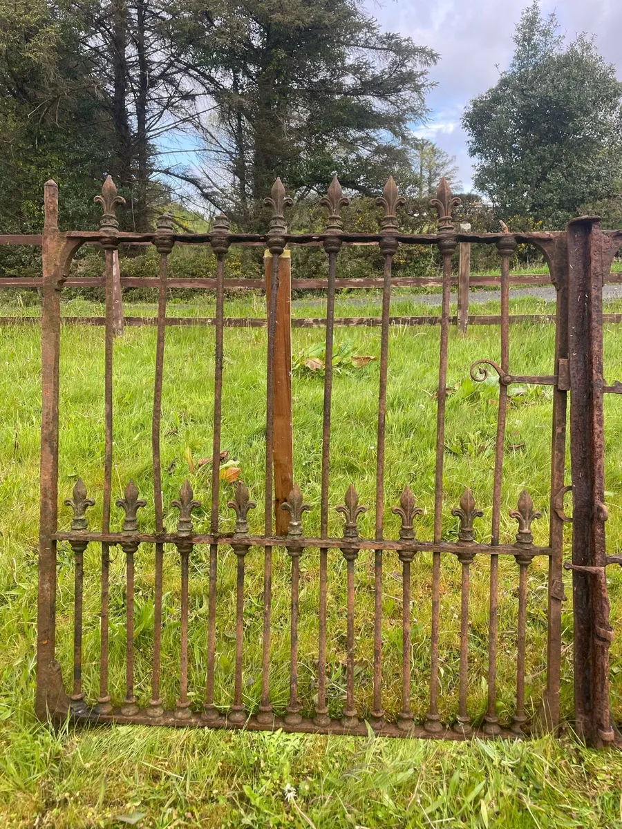 Pair of victorian wrought iron gates - Image 2