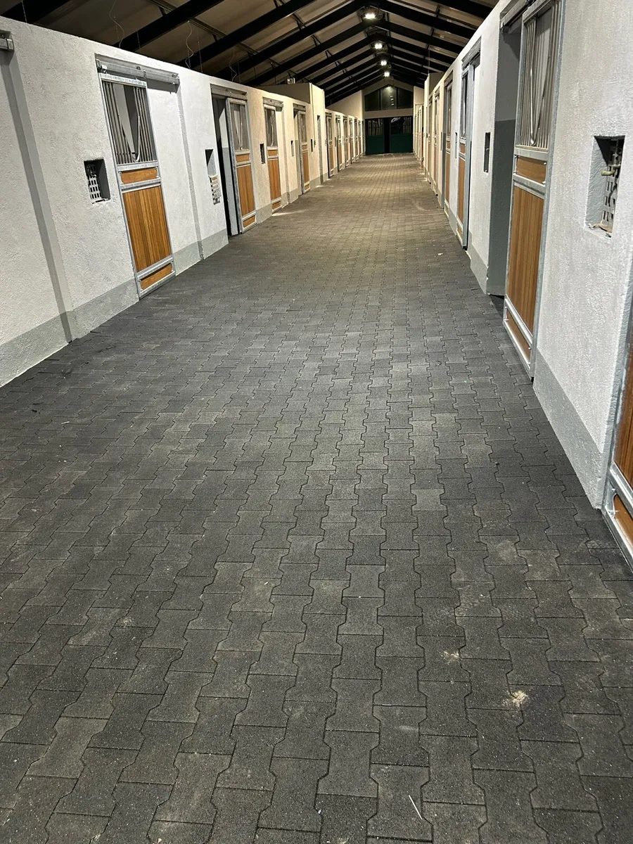 Rubber Floors Horsewalkers / Parade Rings - Image 3