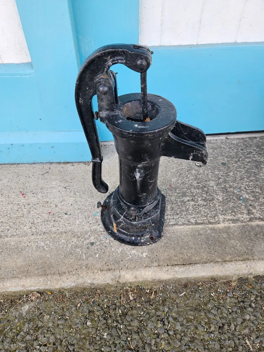 Vintage Cast Iron Water Pump - Image 1