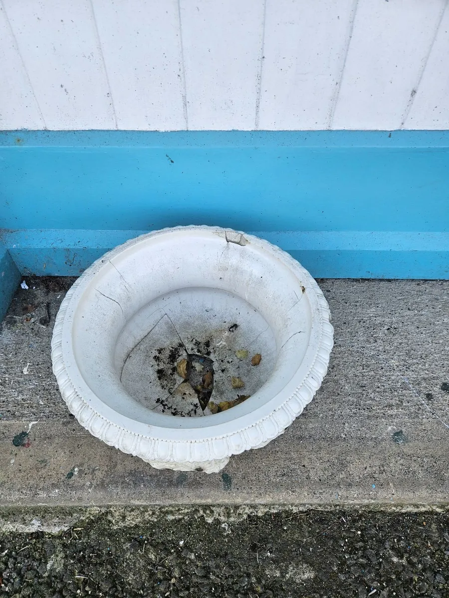 Vintage Classial Plant Pot - Image 3