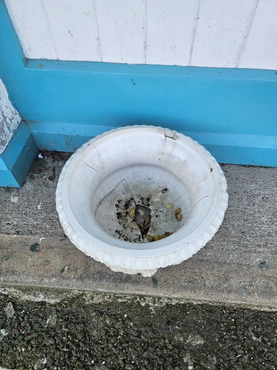 Vintage Classial Plant Pot - Image 2