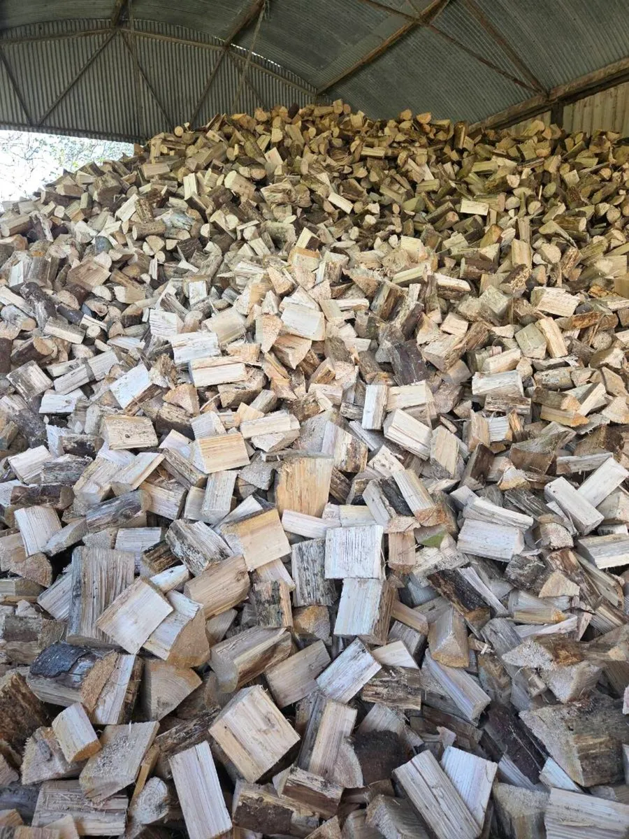 Firewood - Image 3