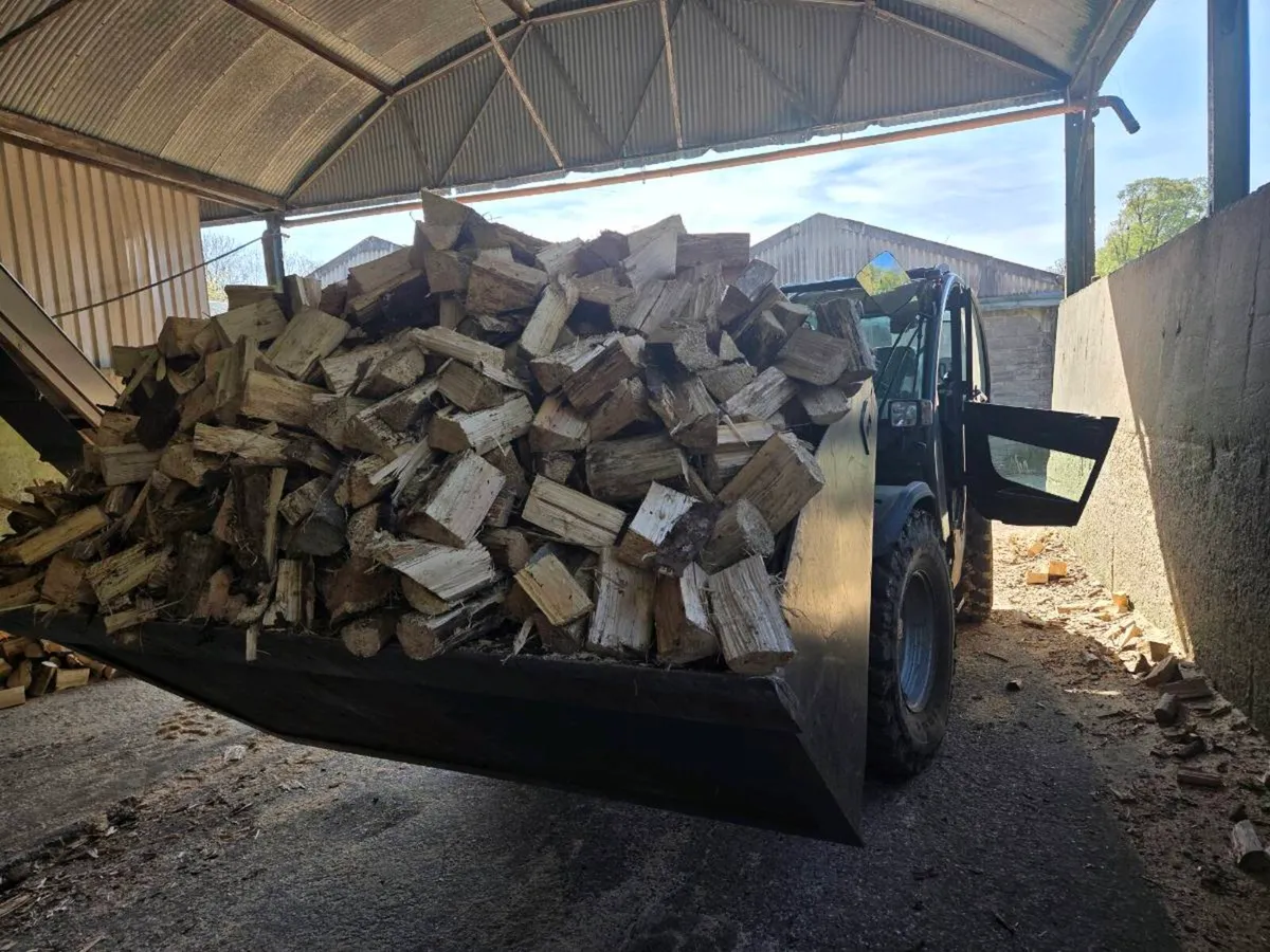 Firewood - Image 4