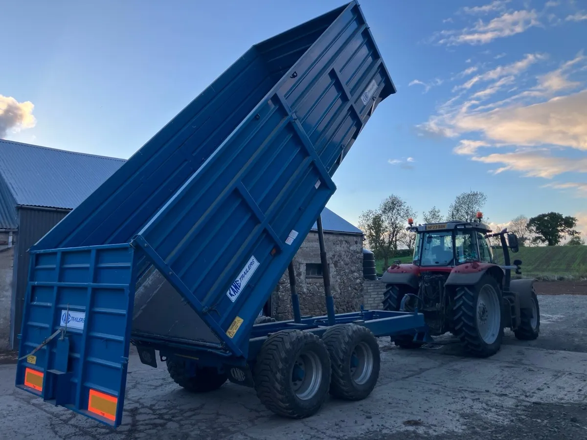 Kane 14Ton Grain trailer - Image 3
