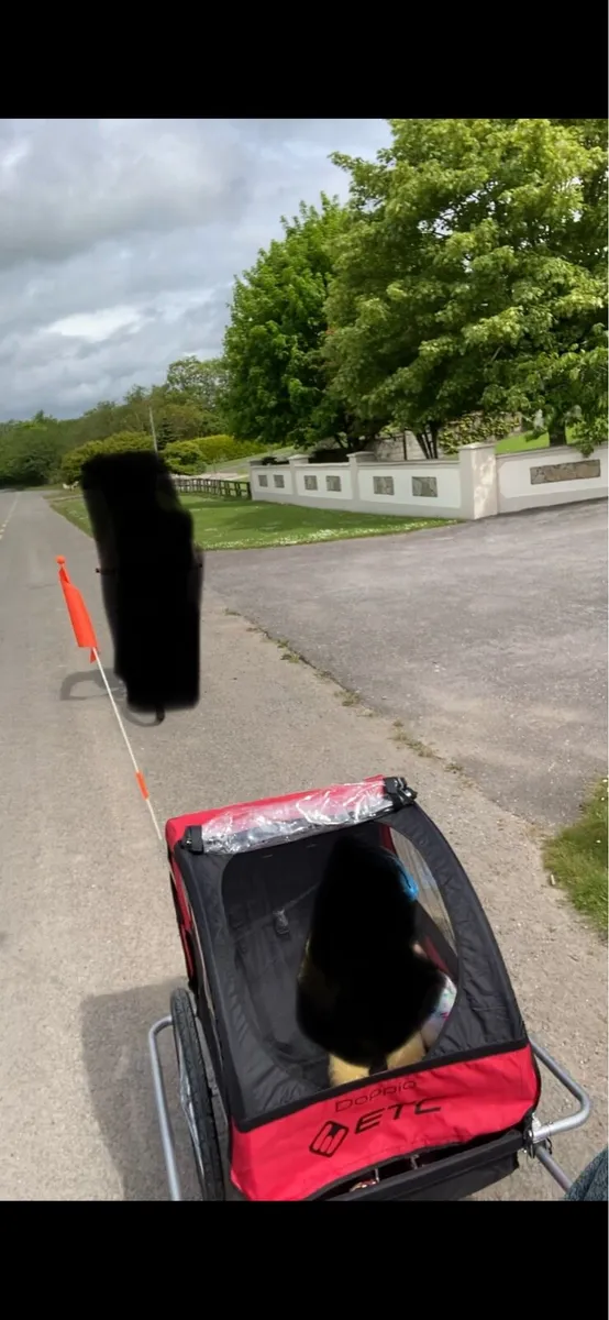 Bike Trailer - Image 2