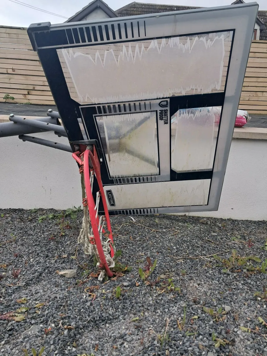 Basketball net - Image 1