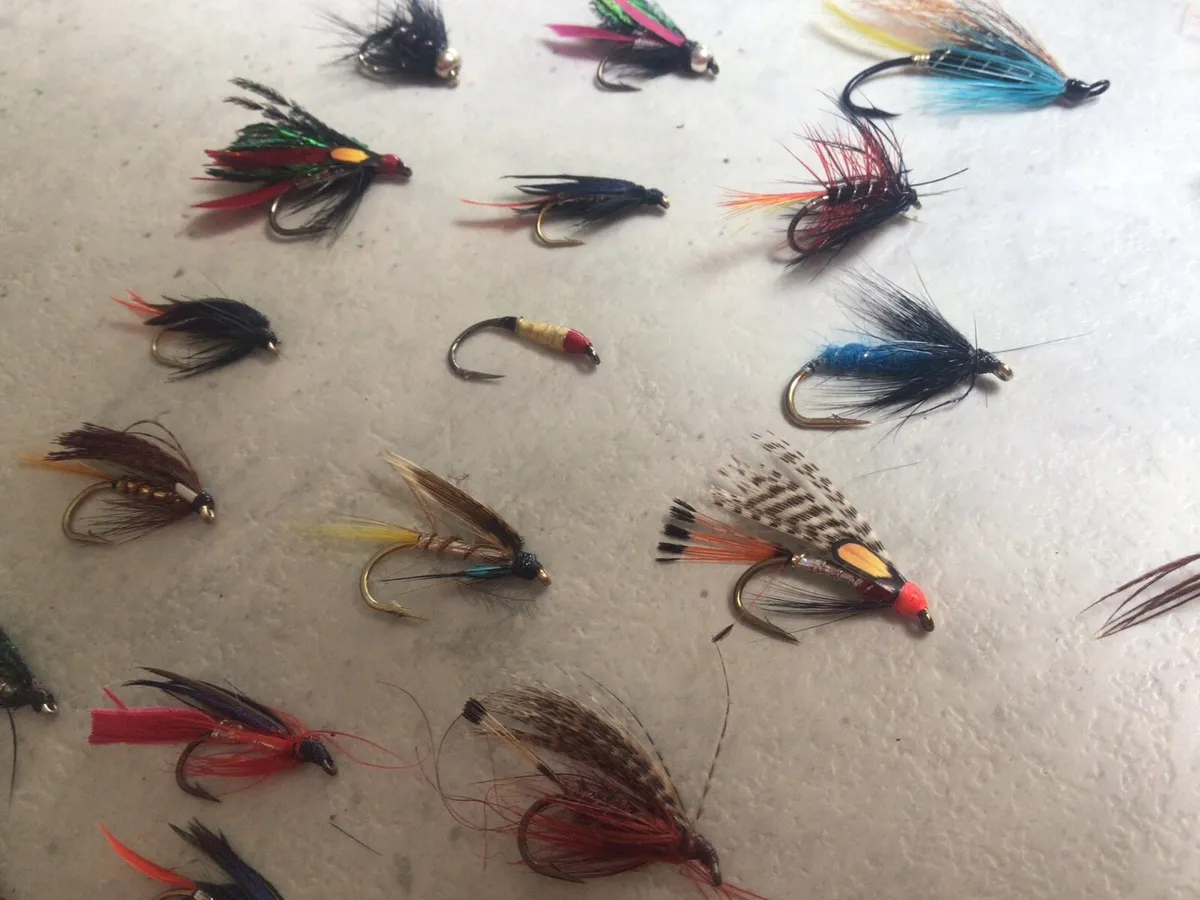 Box of Flies - Image 4