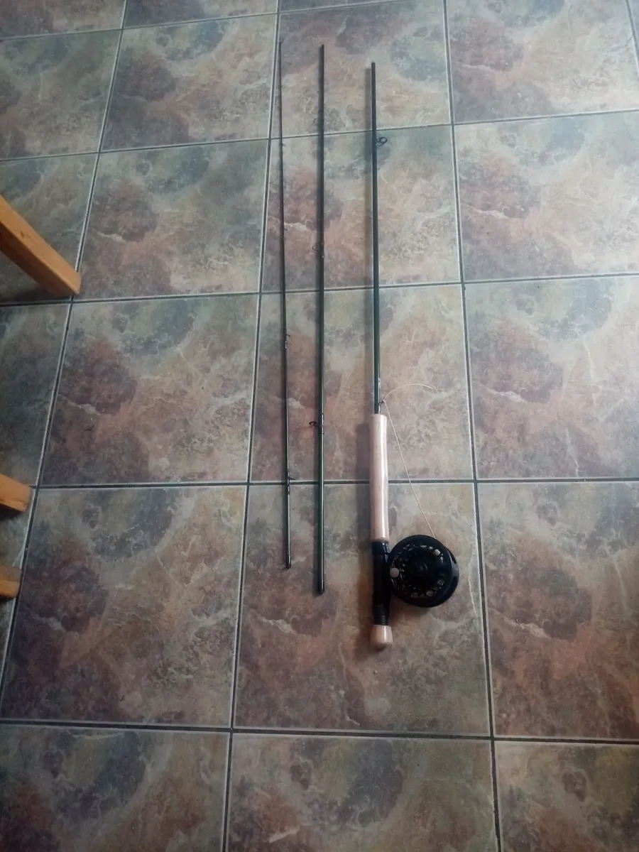 Vintage Brass salmon Reel - Image 2