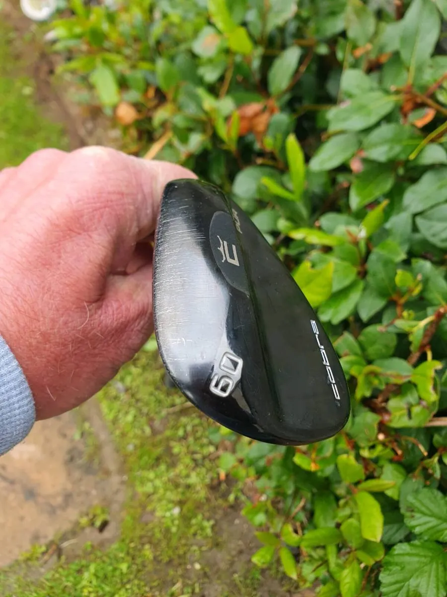 Cobra pur wedge - Image 2