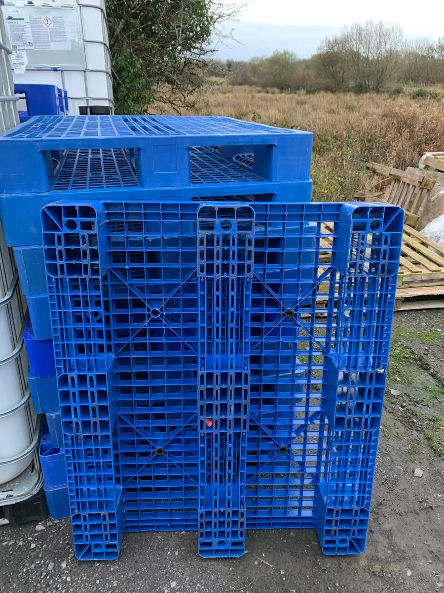 Plastic pallets - Image 1