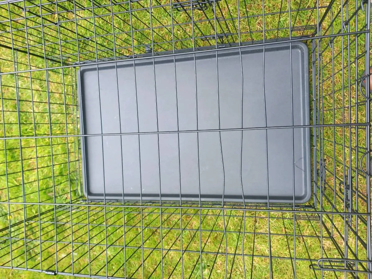 Large dog travel crate. - Image 4