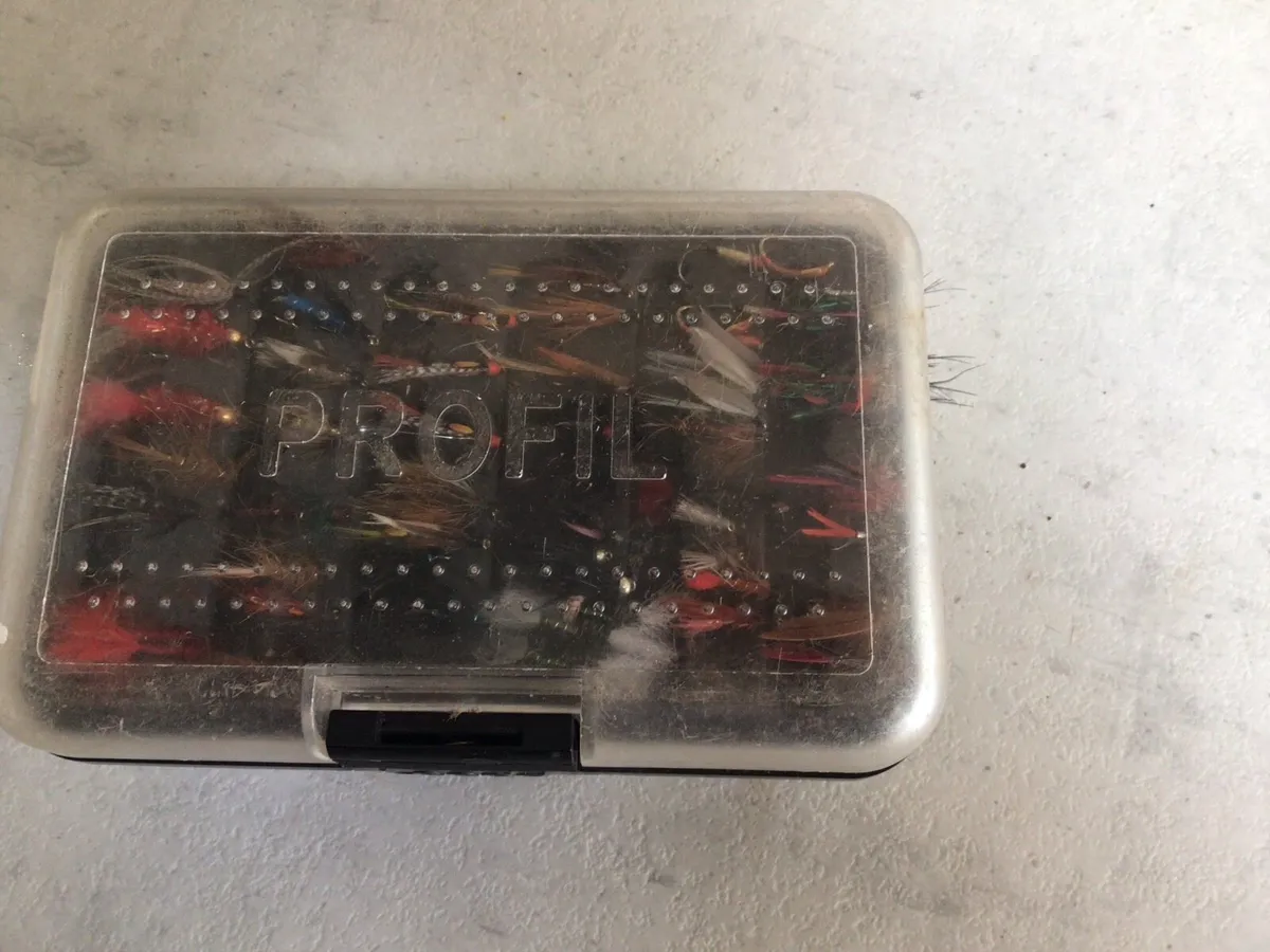 Box of Flies - Image 1
