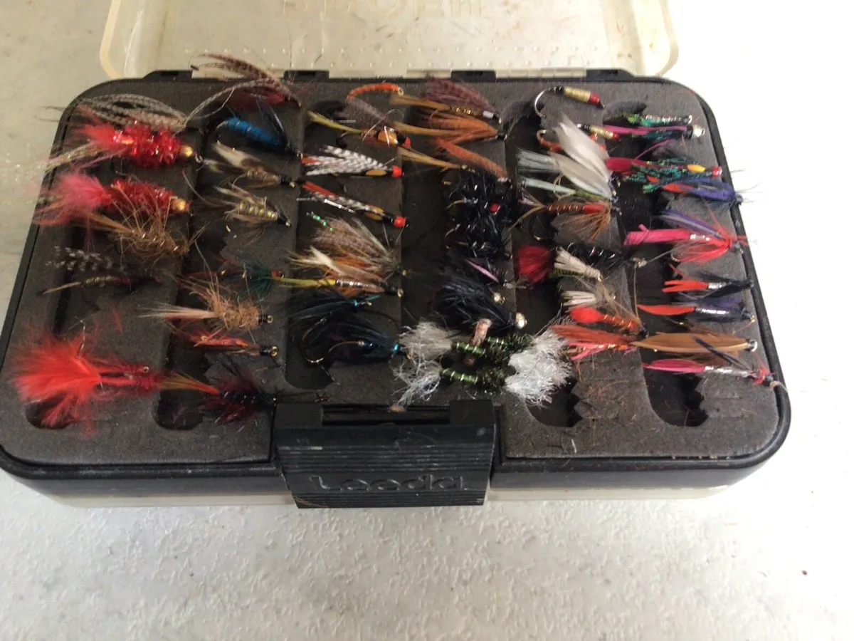 Box of Flies - Image 2