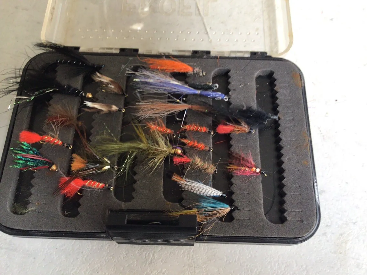 Box of Flies - Image 3