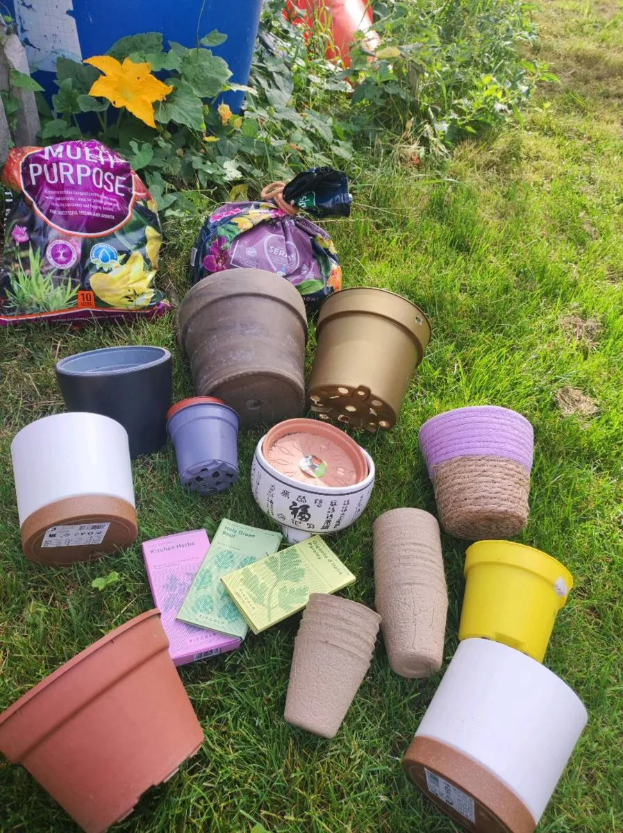Flower pots - Image 1