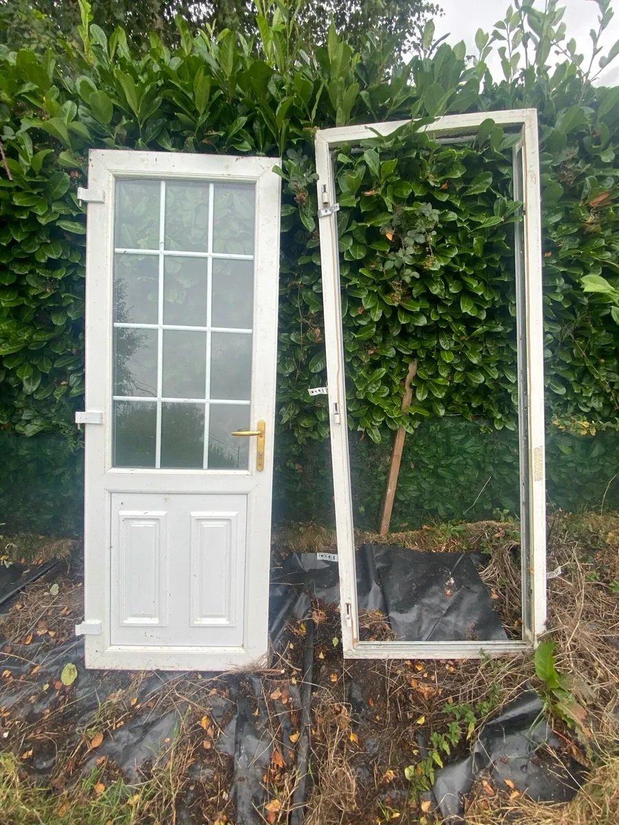 PVC door - Image 1