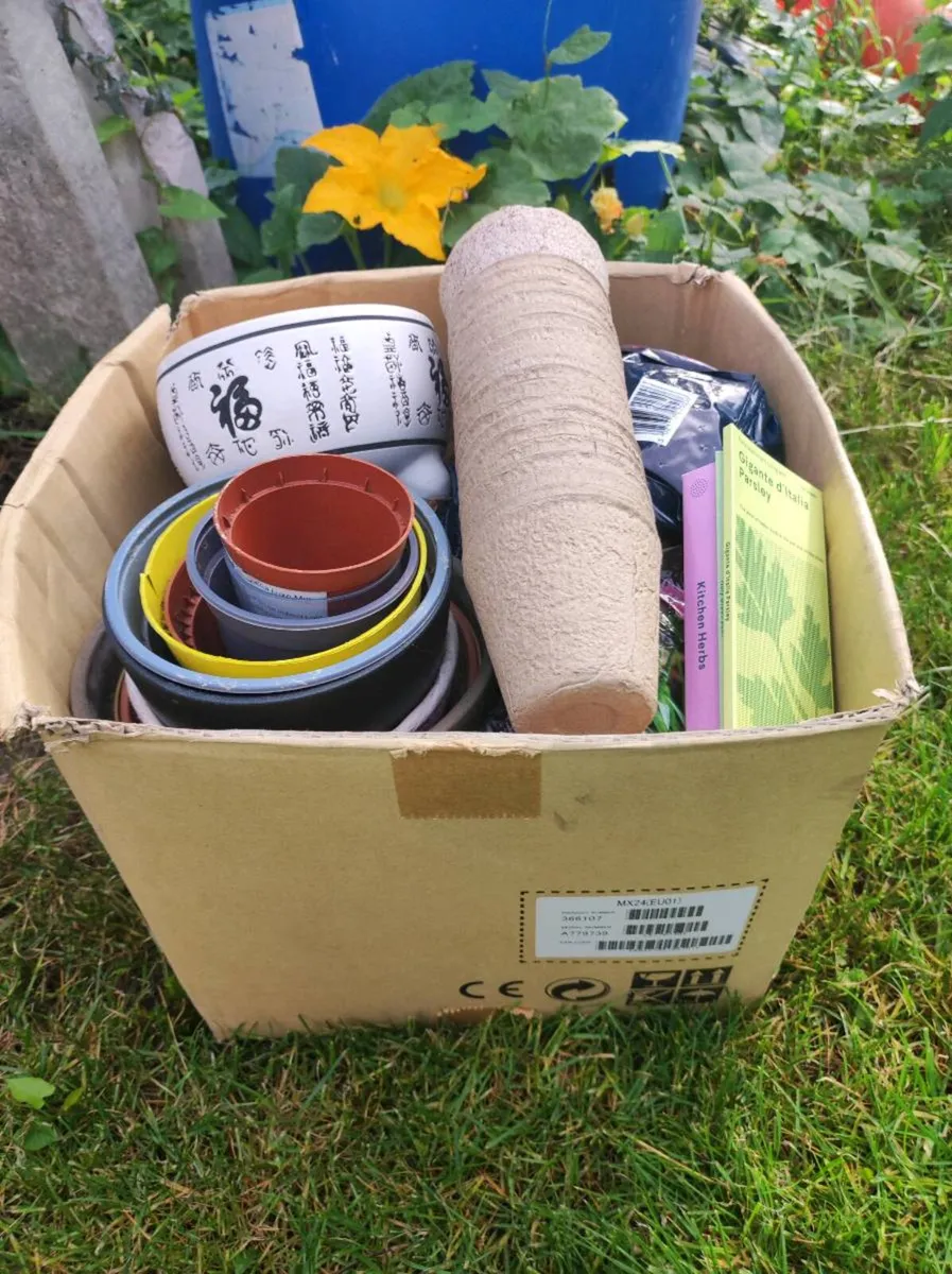 Flower pots - Image 2