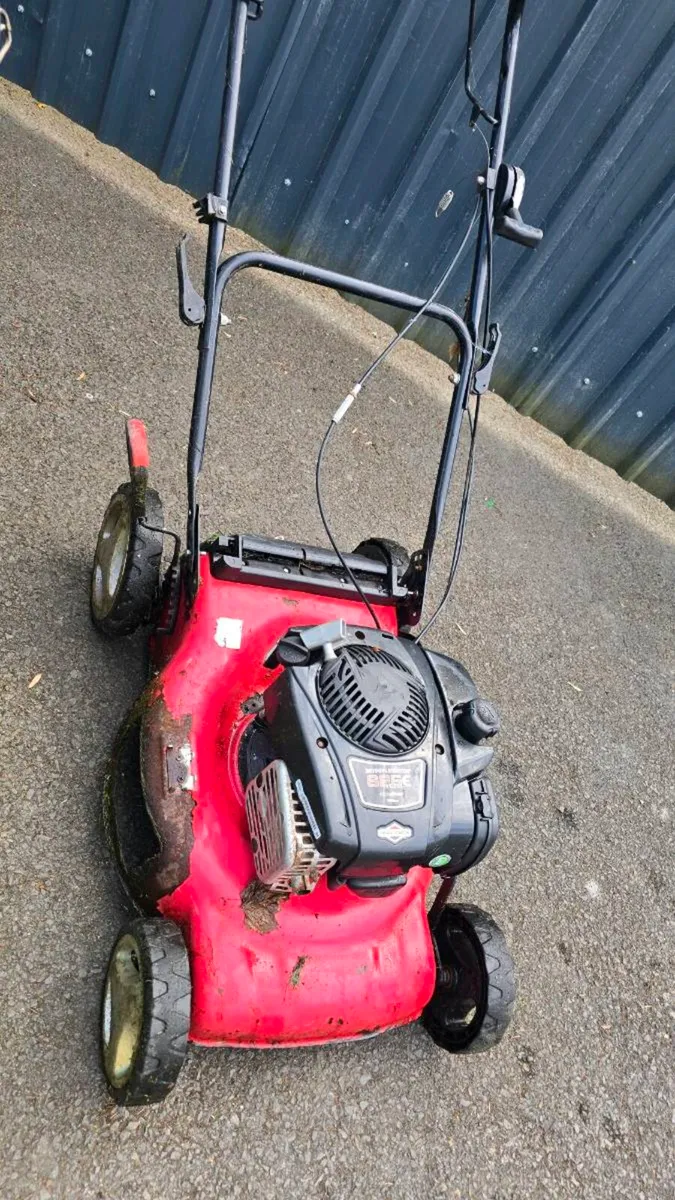 Briggs and Stratton - Image 1