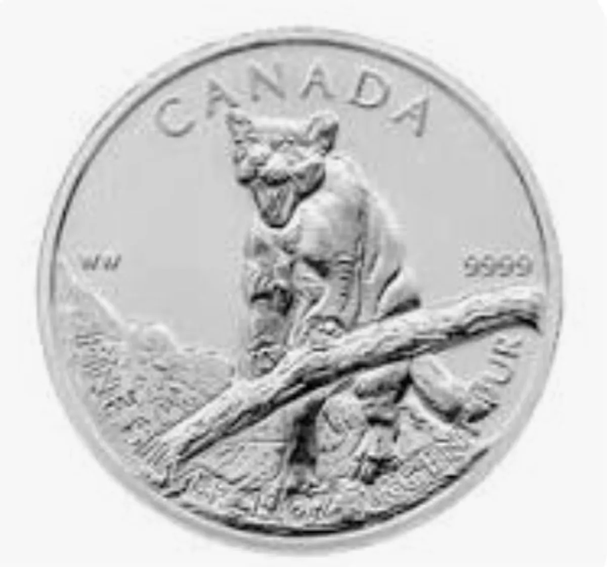 9 Silver Coins - Image 2