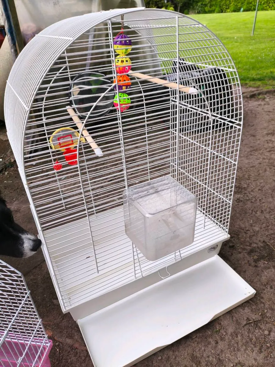 2 bird cages selling together 50  collection only - Image 3