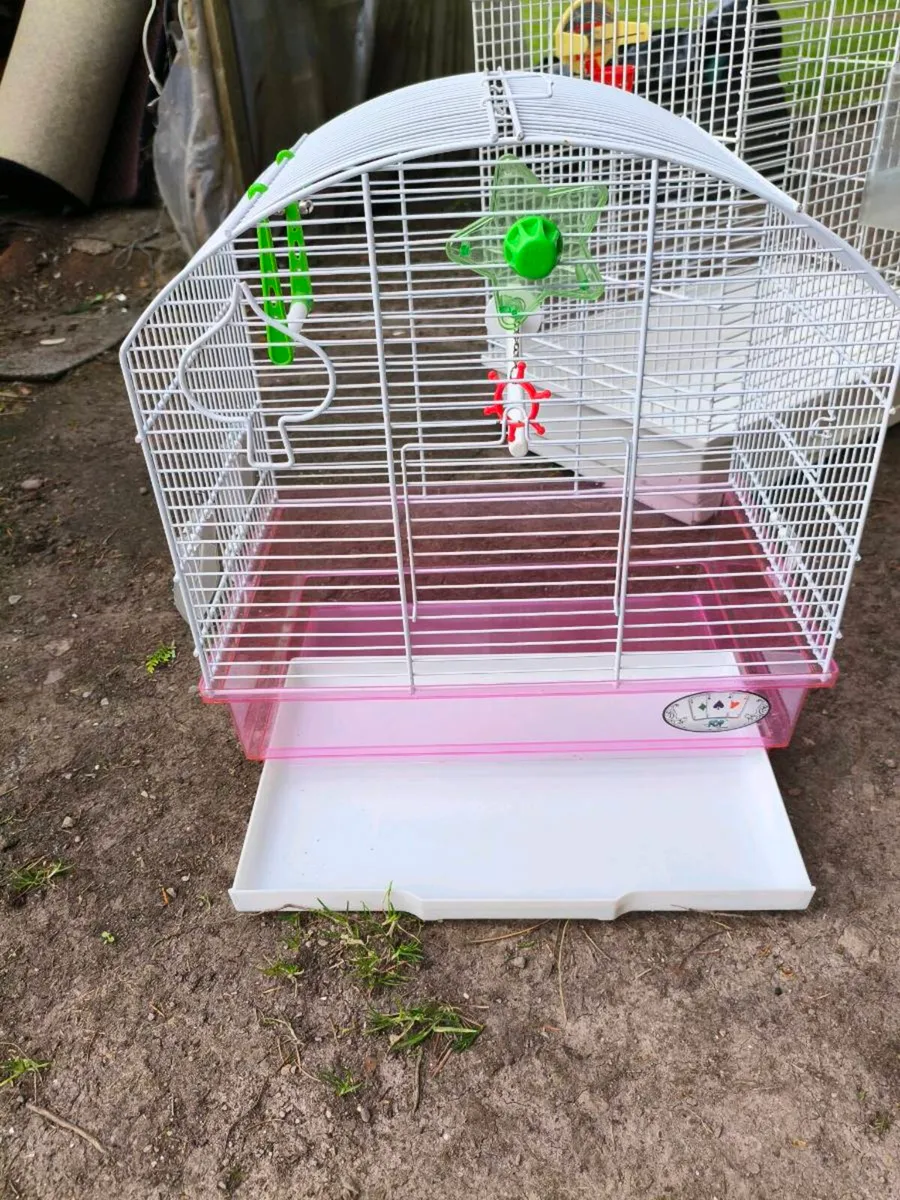 2 bird cages selling together 50  collection only - Image 4