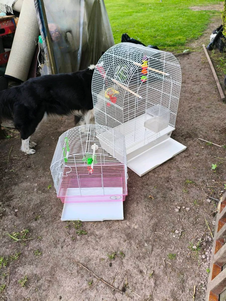 2 bird cages selling together 50  collection only - Image 2
