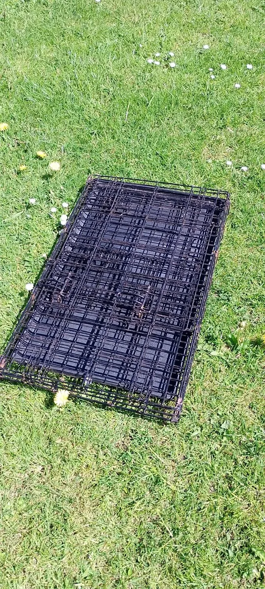 Cage - Image 3