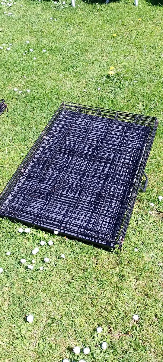 Cage - Image 4