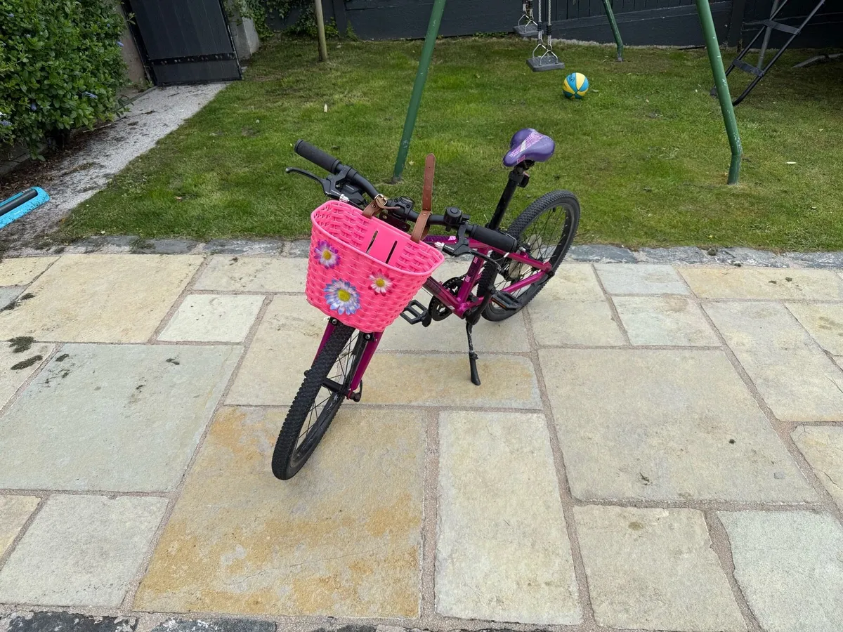 Bicycle 16” Cuda Pink Bike - Image 2