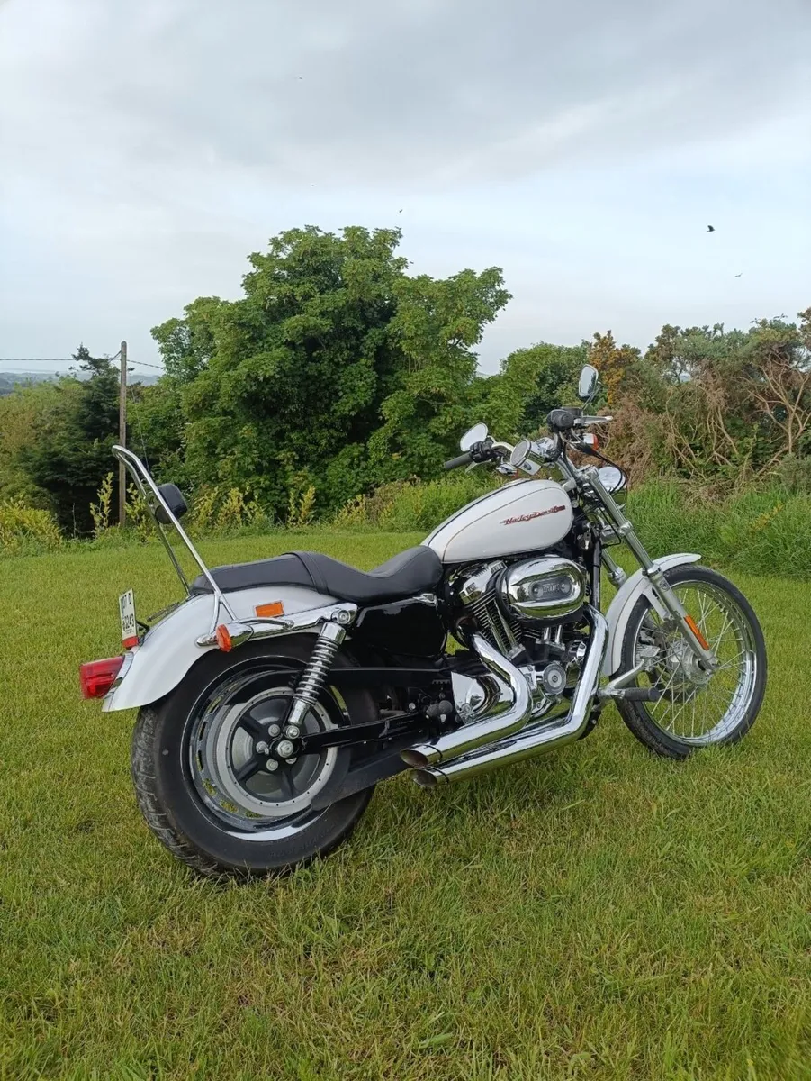 Motorcycles W.A.N.T.E.D
