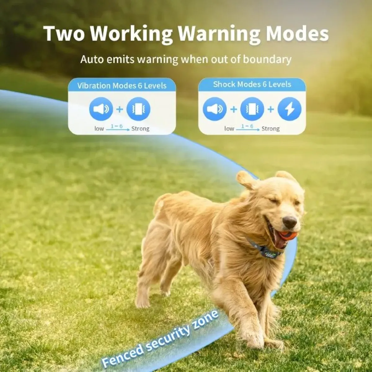 GPS Dog Fence - Image 4