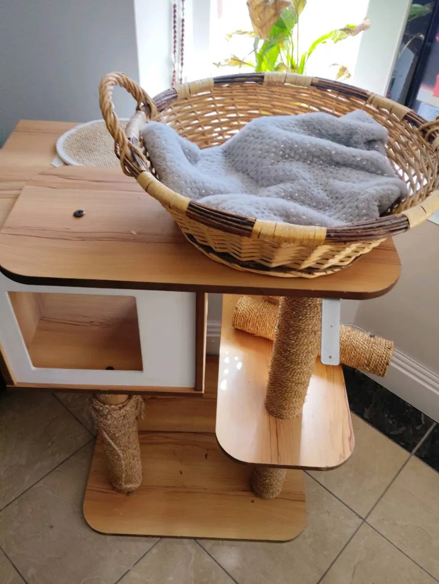 Pet house and cat c a t scrtcher - Image 1