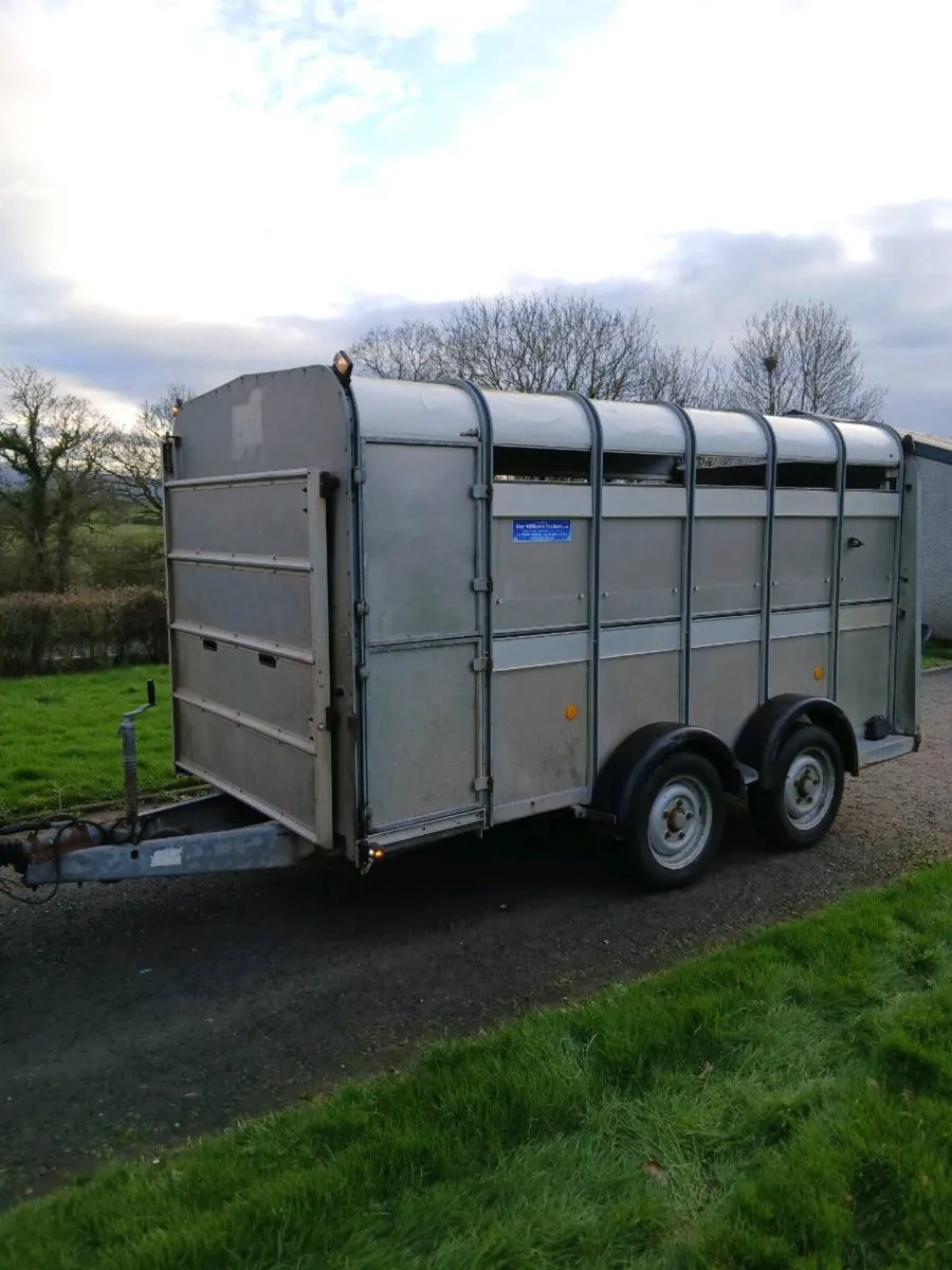 12ft ifor williams cattle trailer - Image 2