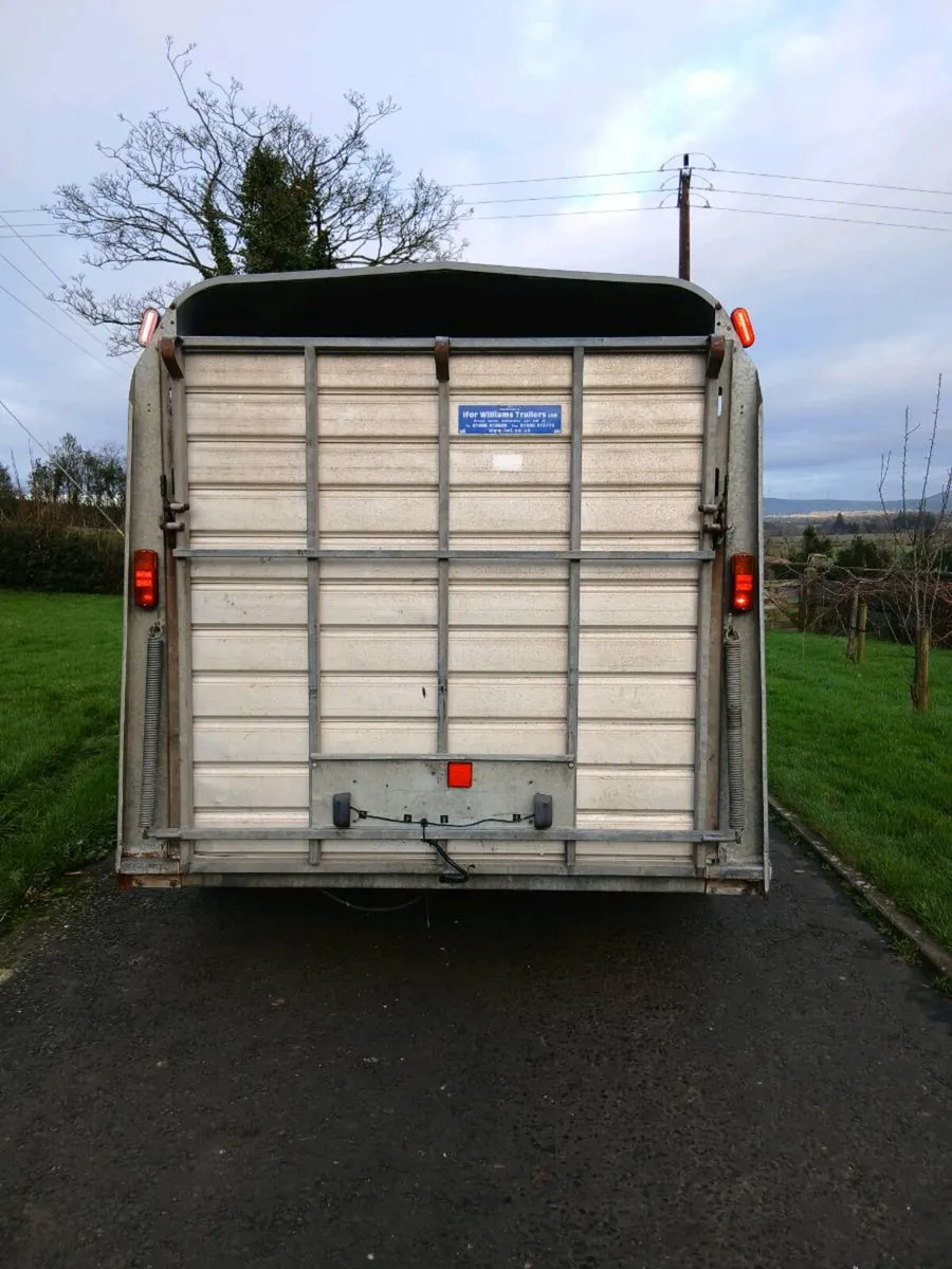 12ft ifor williams cattle trailer - Image 3