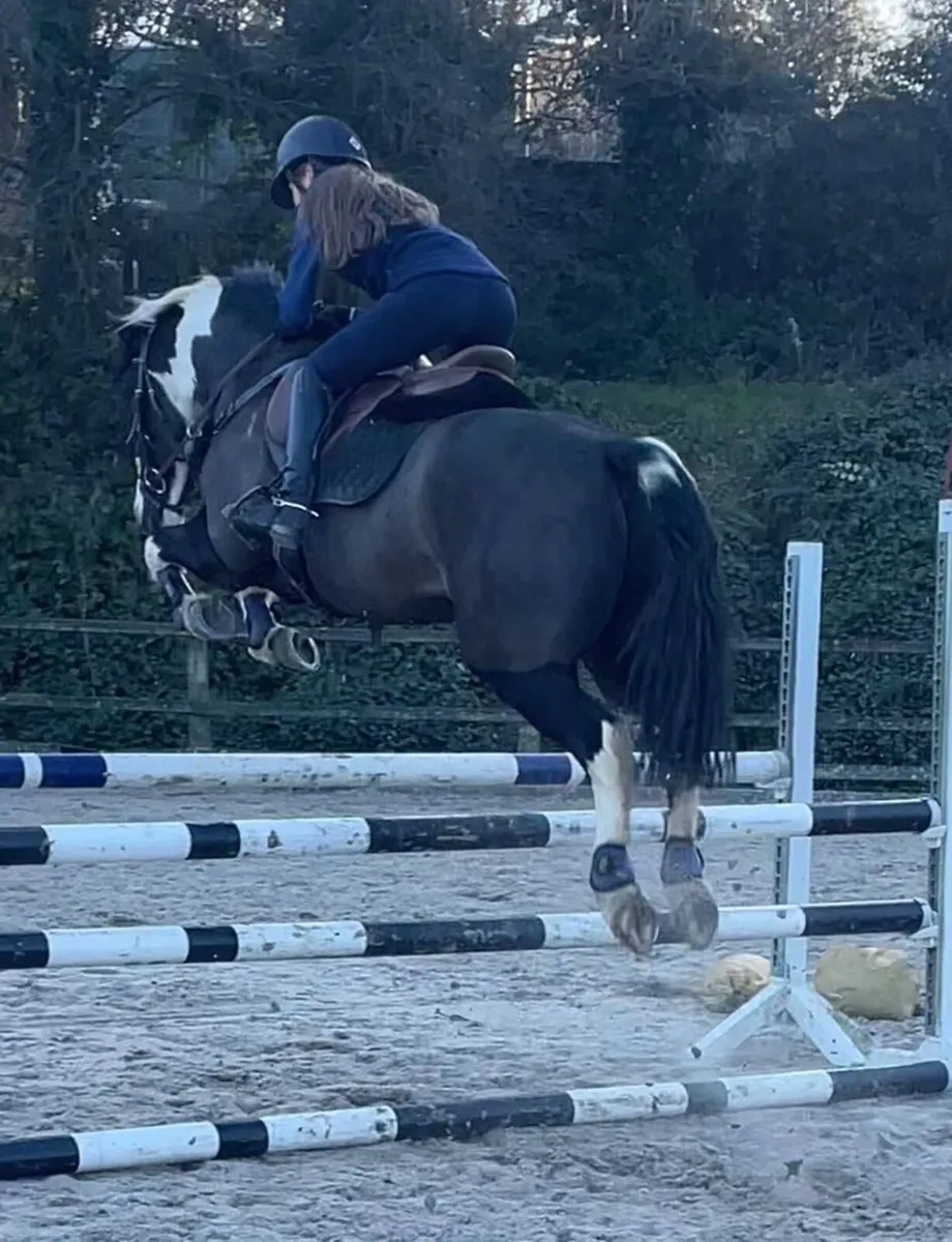 🌟 Stunning All-Rounder 🌟 - Image 3