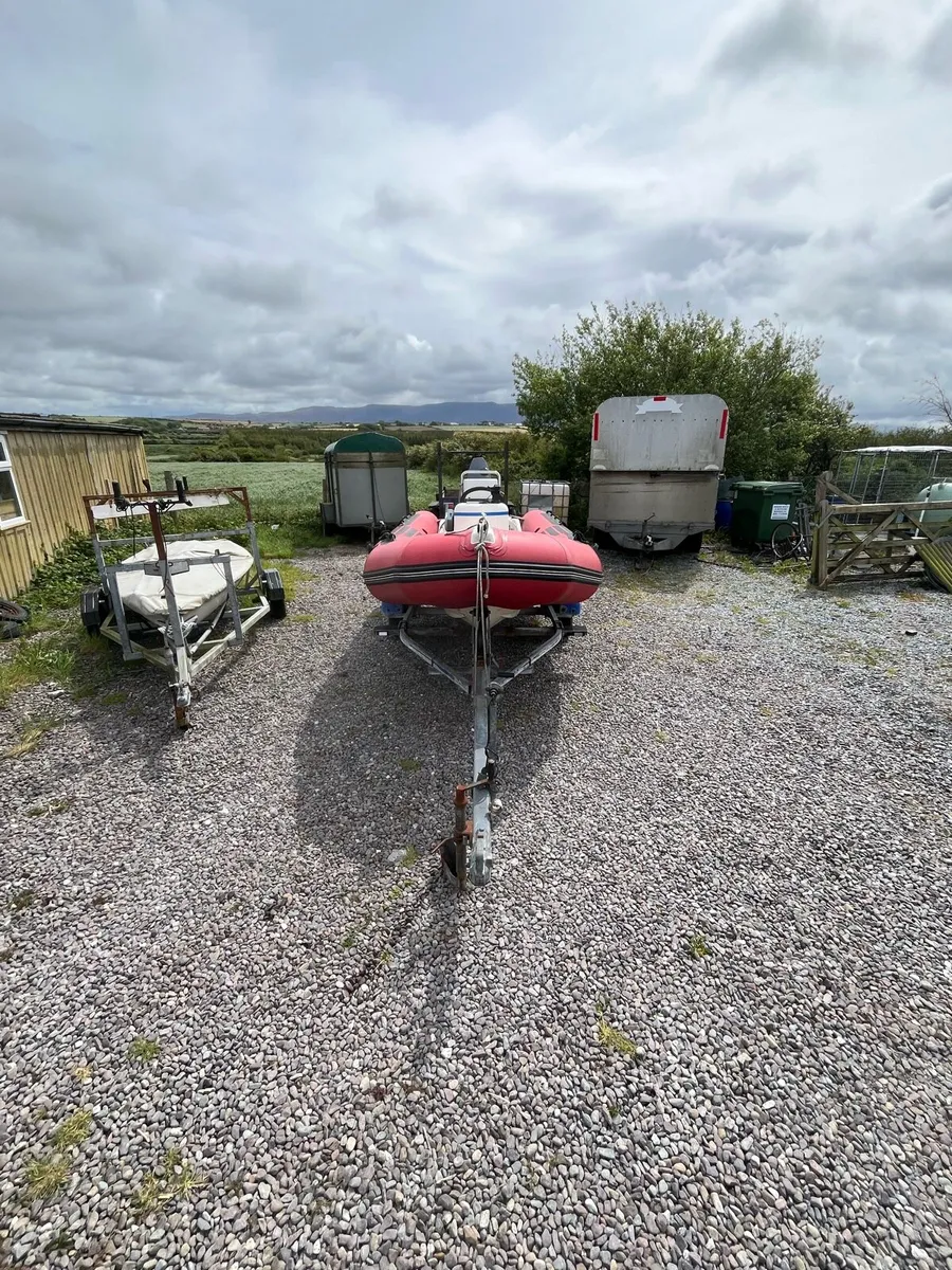 Rib - Image 2
