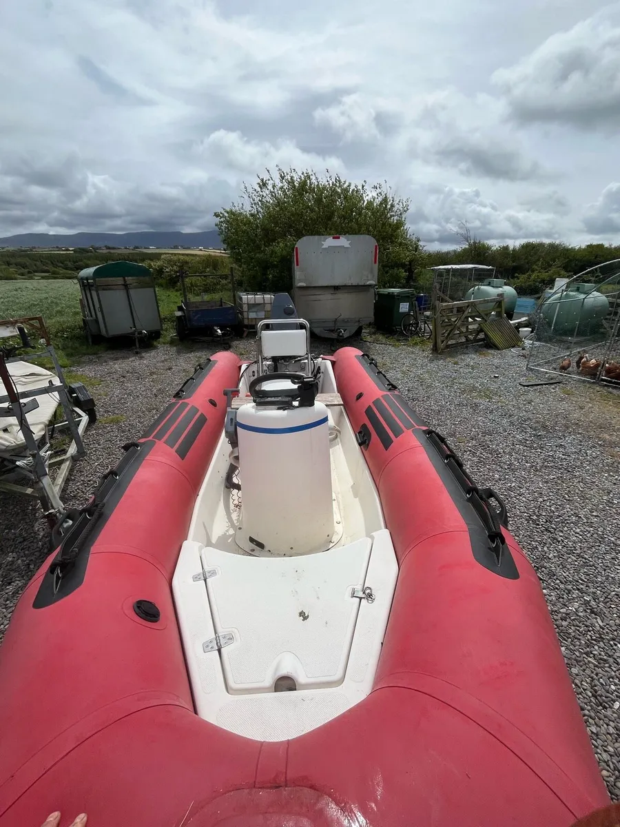 Rib - Image 4