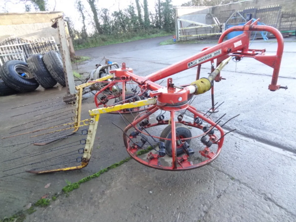 Choice of PZ 300 Haybobs - Image 4