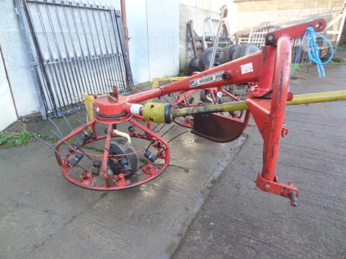 Choice of PZ 300 Haybobs - Image 3