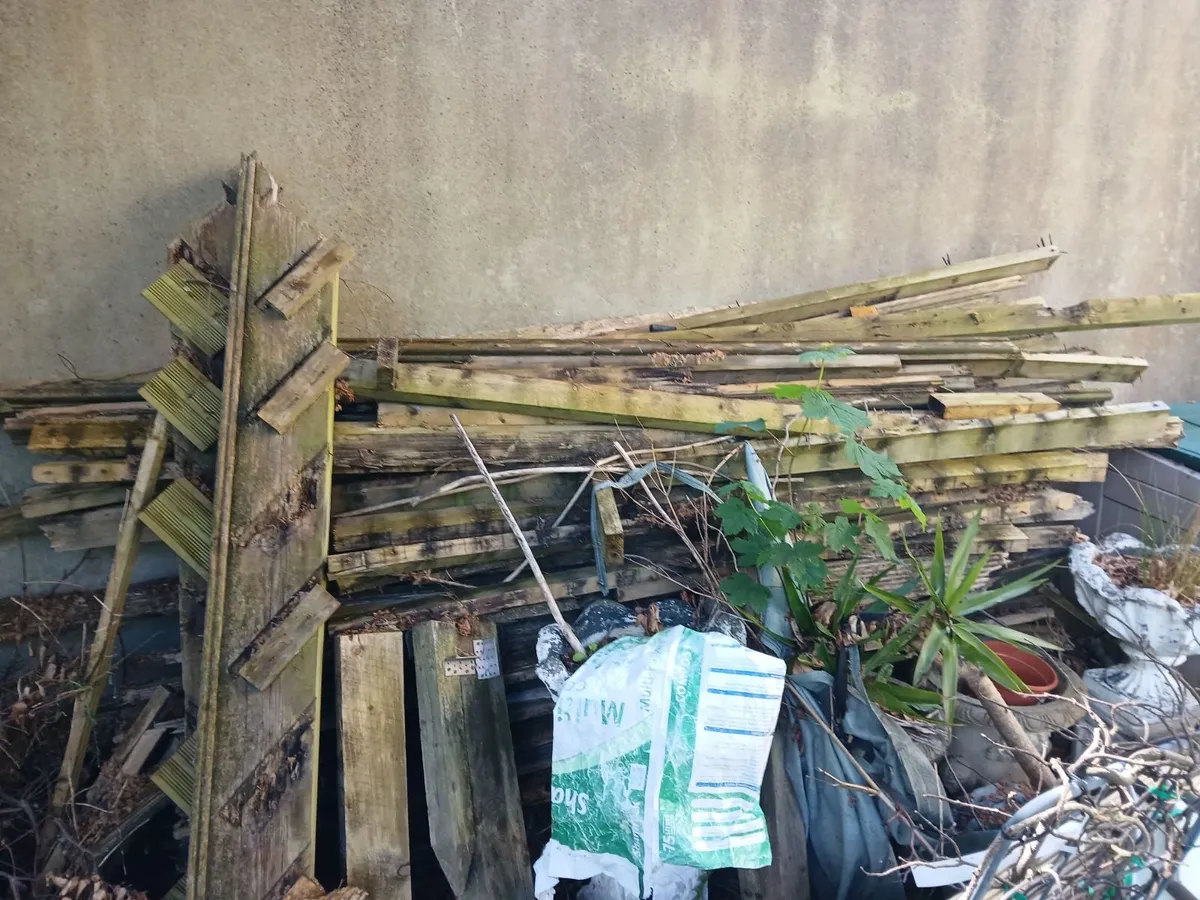 wood - Image 1