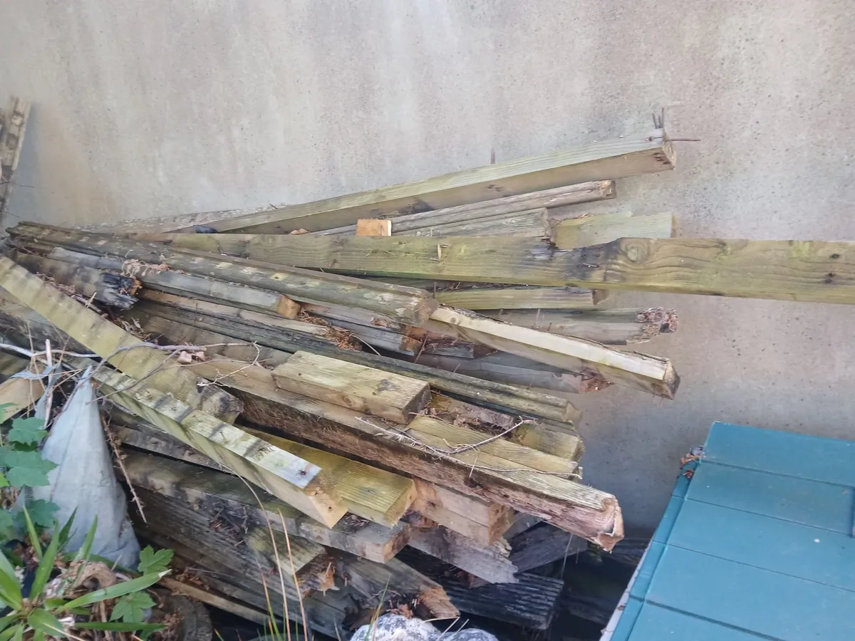 wood - Image 2
