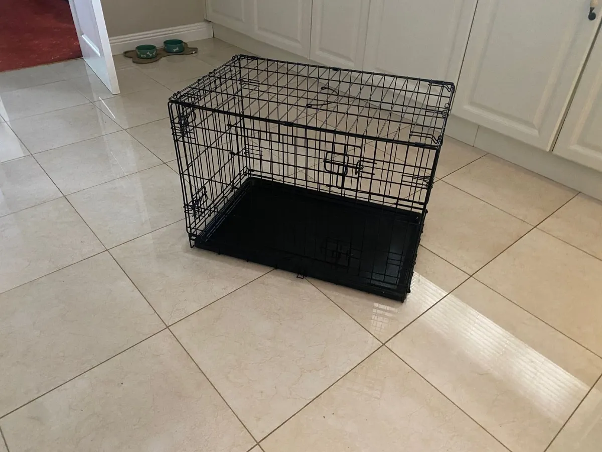 Dog Cage