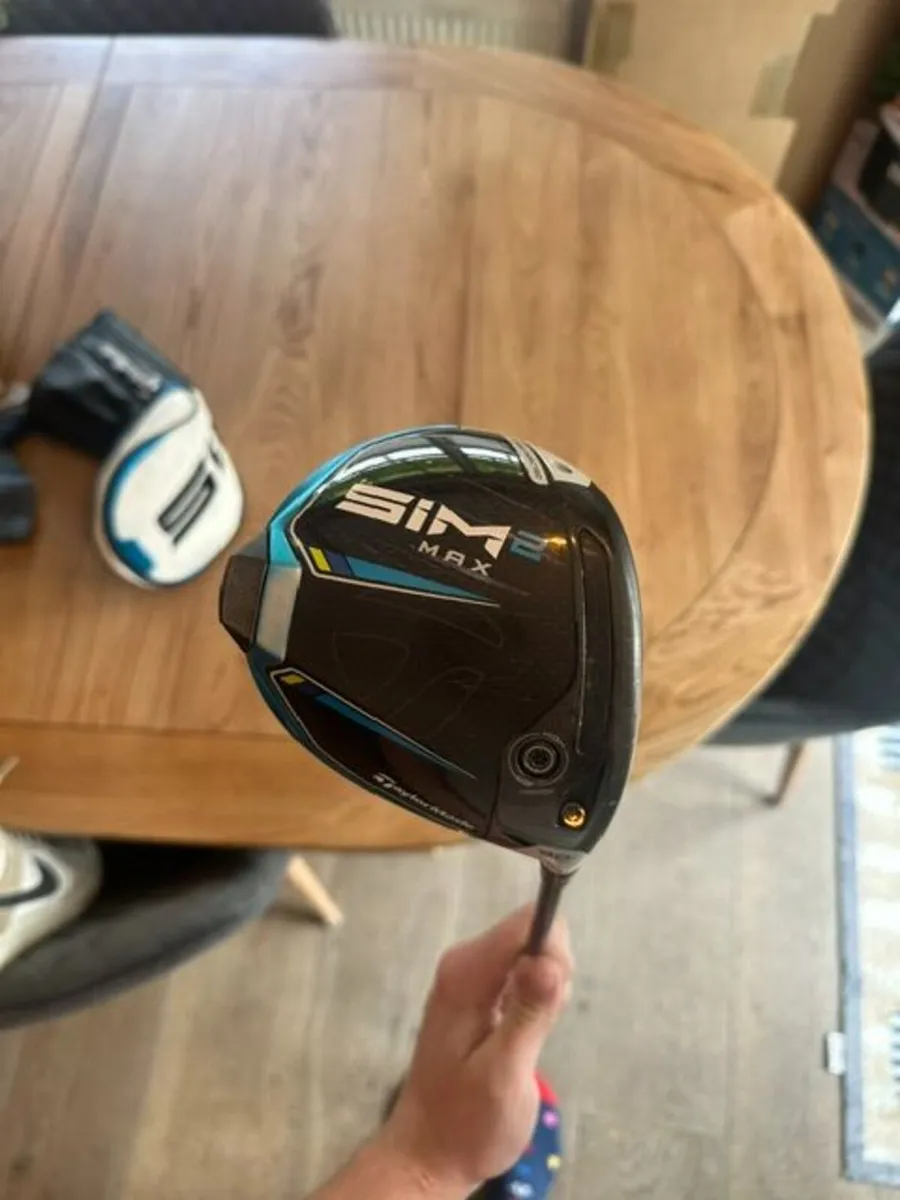 Sim2 Max Driver - Image 2