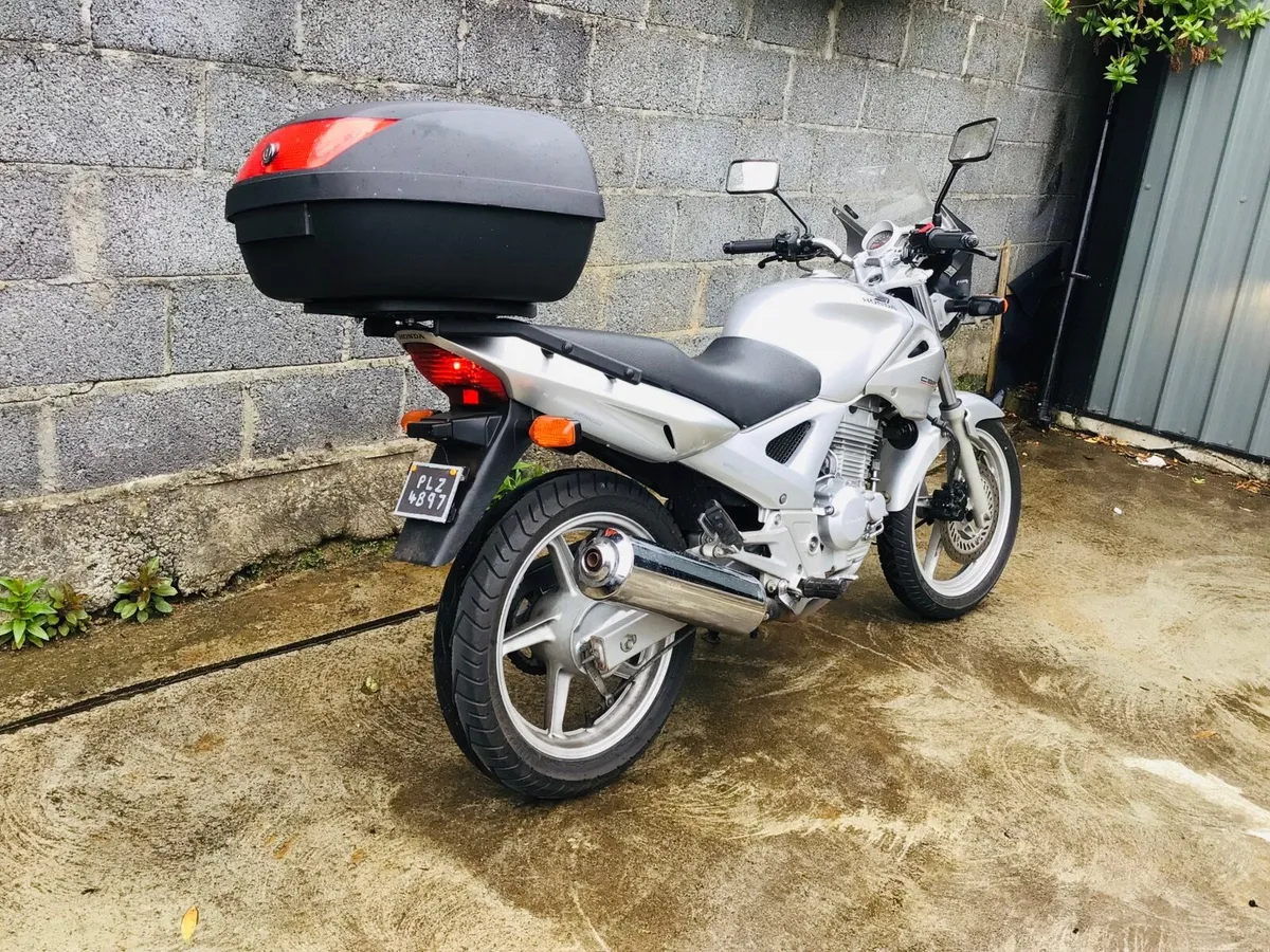 2005 Honda CBF 250 - Image 3