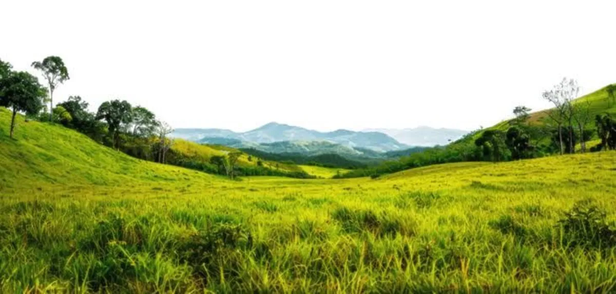 Farm Entitlements for Lease high value